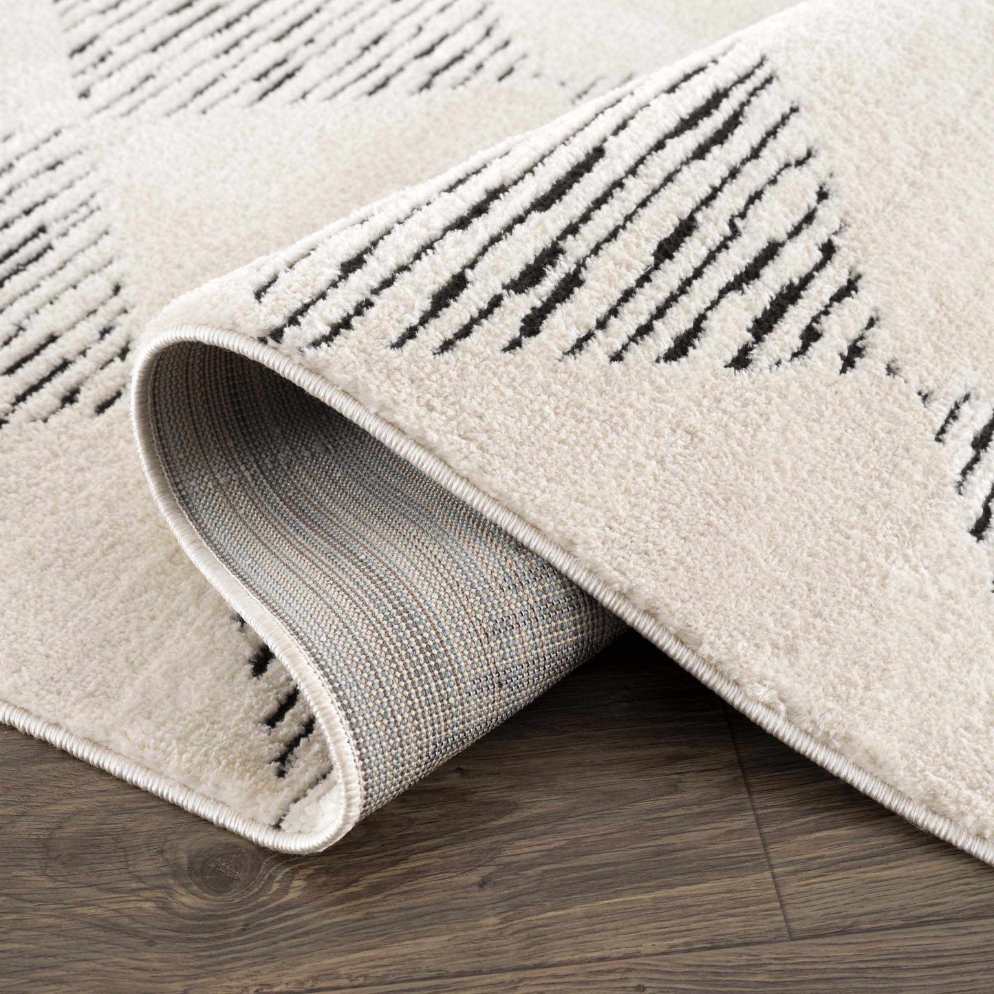 Fauci Area Rug