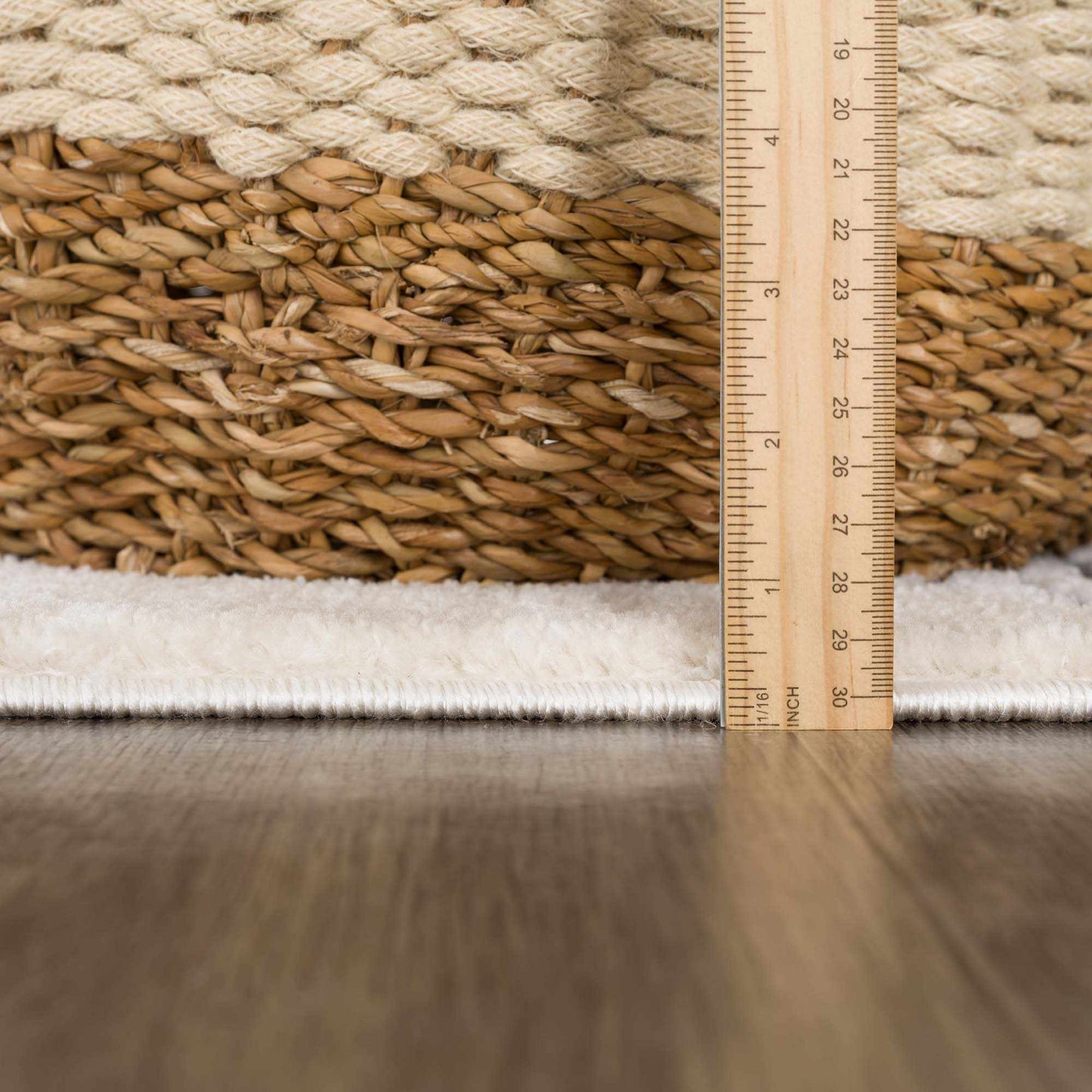 Fauci Area Rug