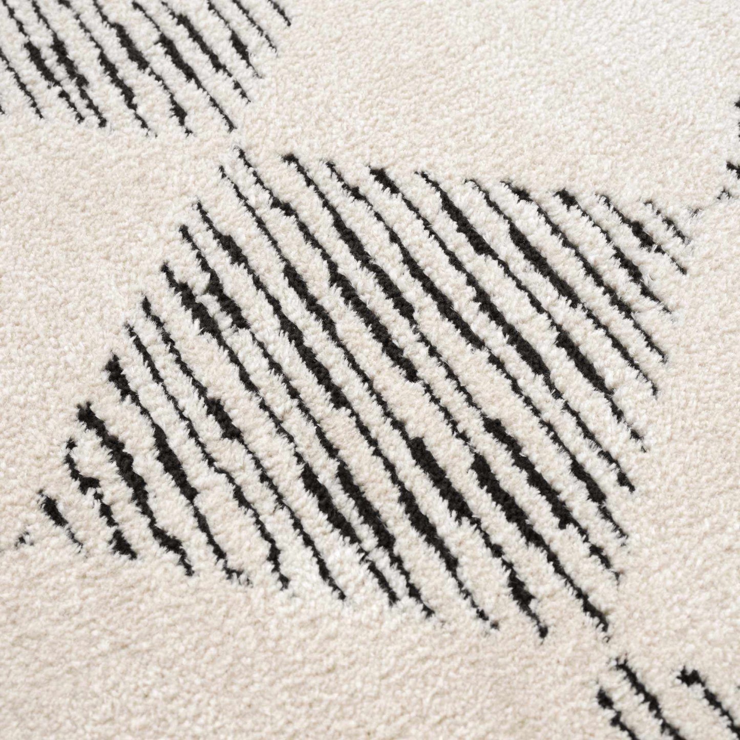 Fauci Area Rug