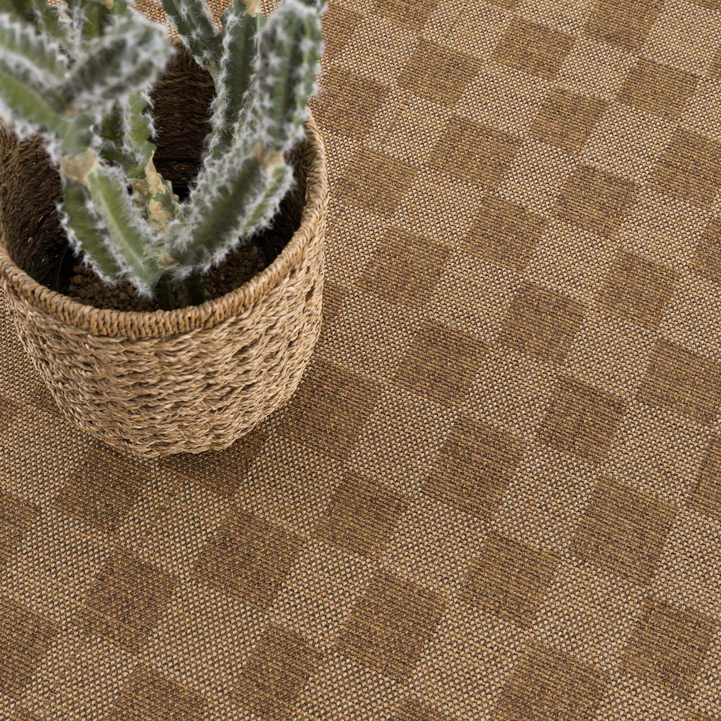 Kuval Area Rug