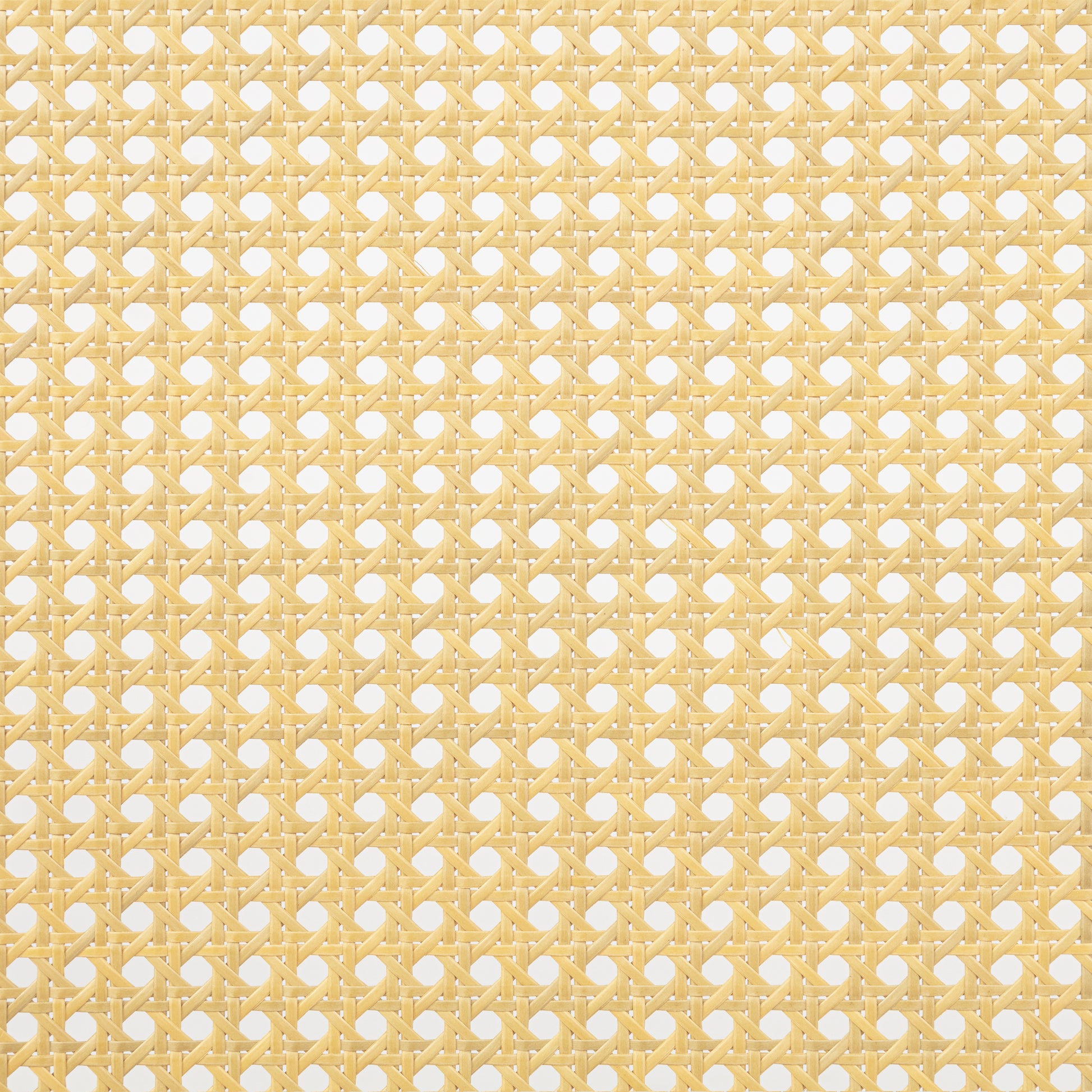 22972101