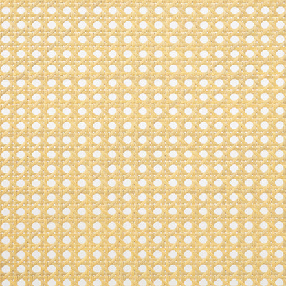 22972101
