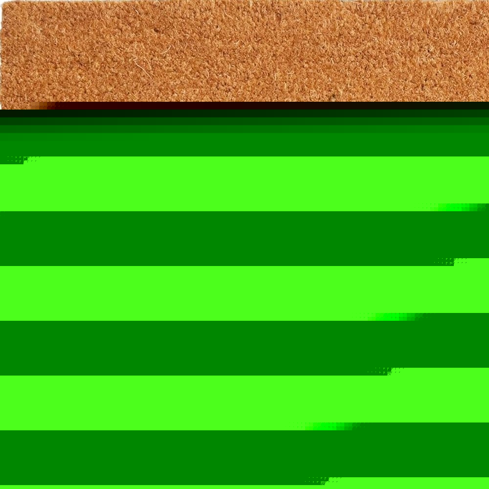 17" X 29" Natural and Black Coir Welcome Outdoor Door Mat