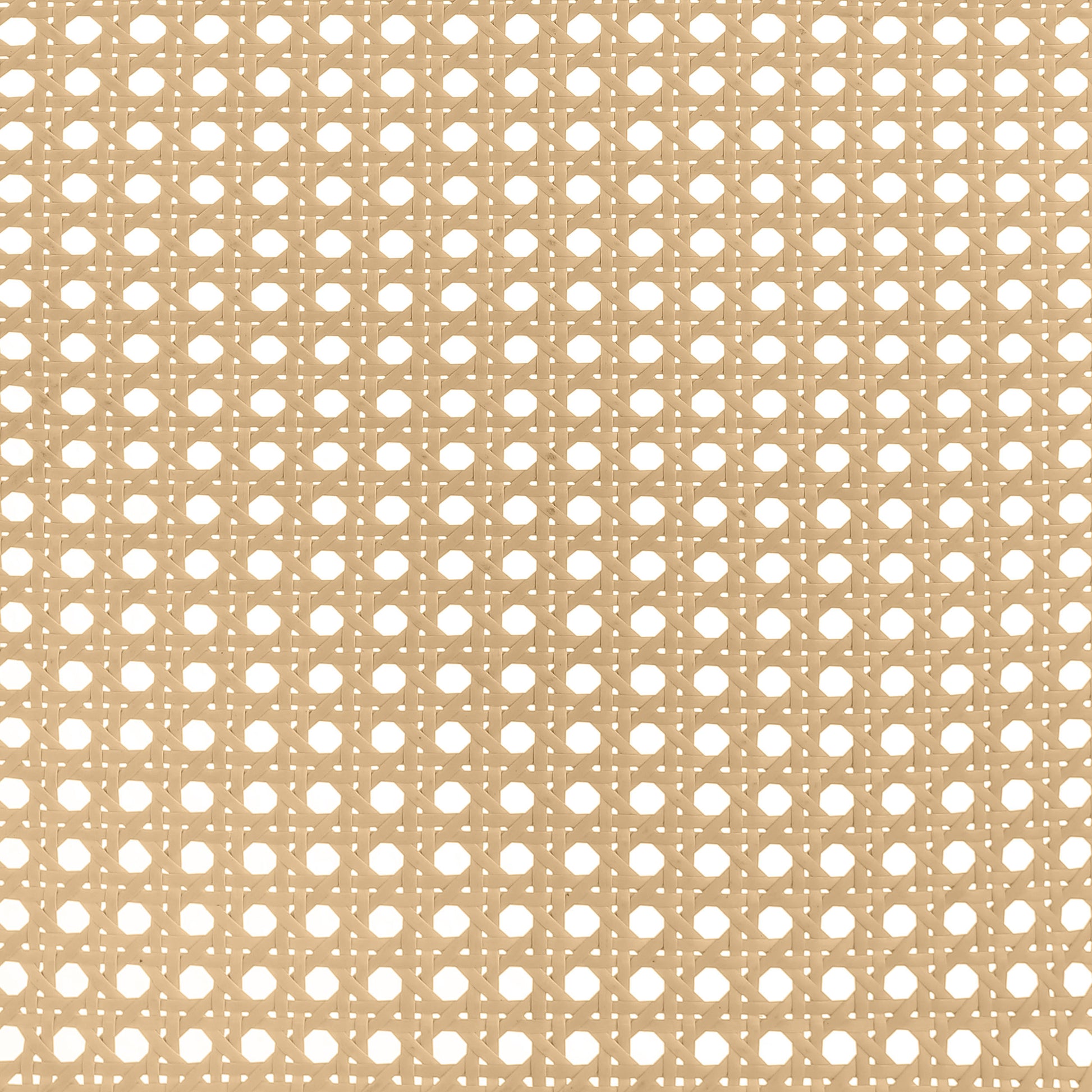 22975429