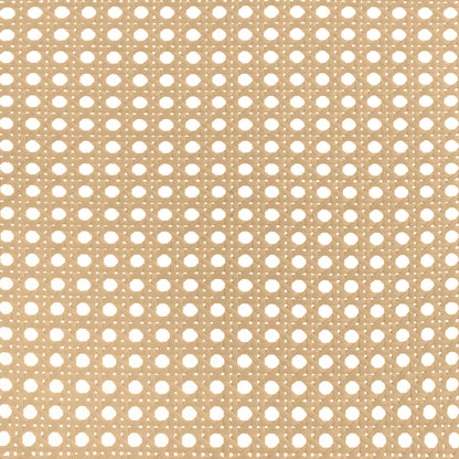 22975429