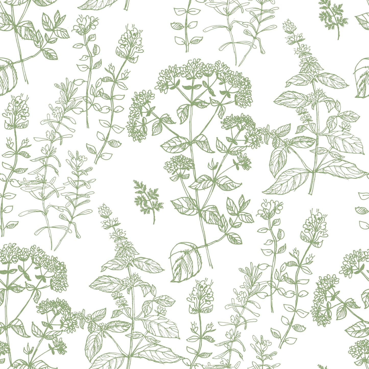 Handrawn Botanicals Wallpaper
