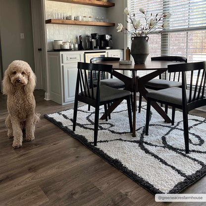 Brad Area Rug - Clearance