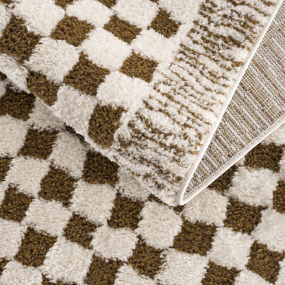 Leryn Brown & White Checkered Area Rug