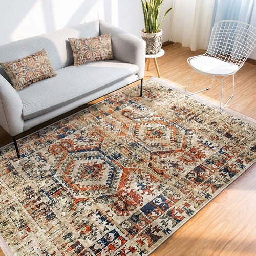 Vintage Living Room Washable Area Rug | Homeezone