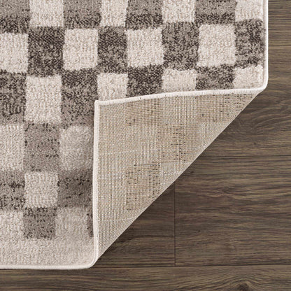 Benjy Beige Checkered Area Rug