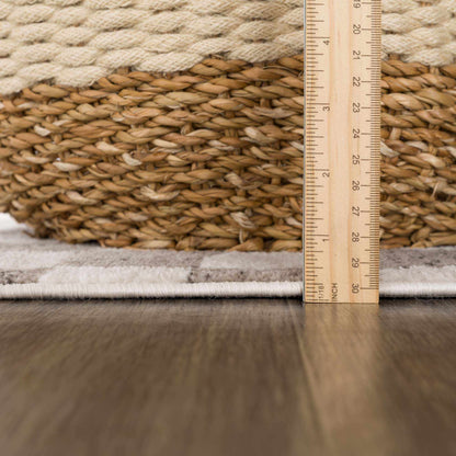 Benjy Beige Checkered Area Rug