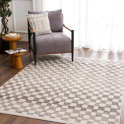 Benjy Beige Checkered Area Rug