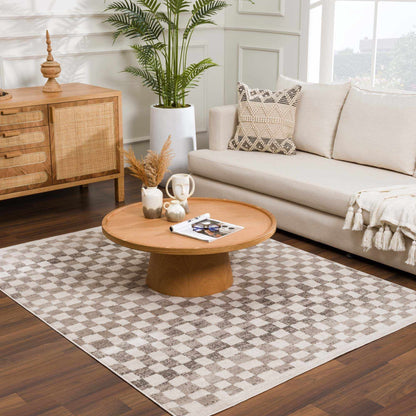 Benjy Beige Checkered Area Rug
