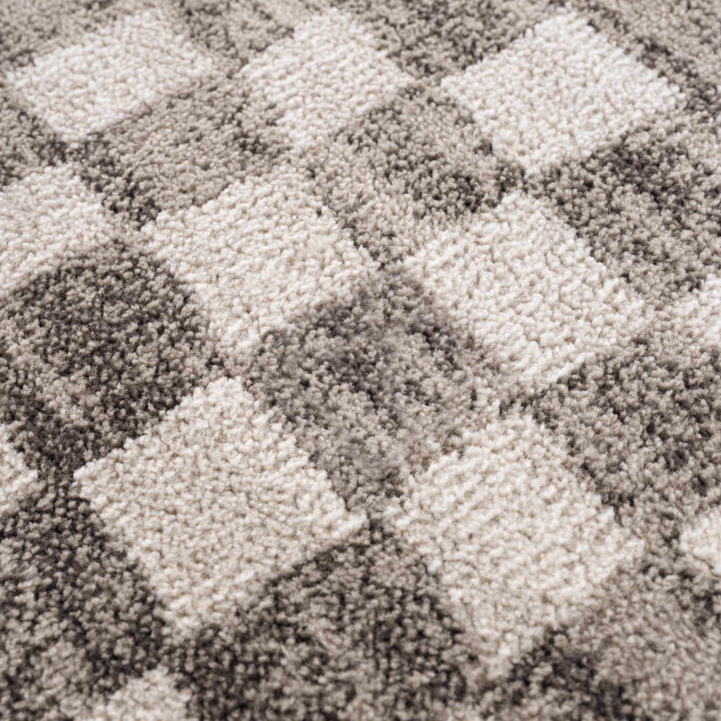 Benjy Beige Checkered Area Rug