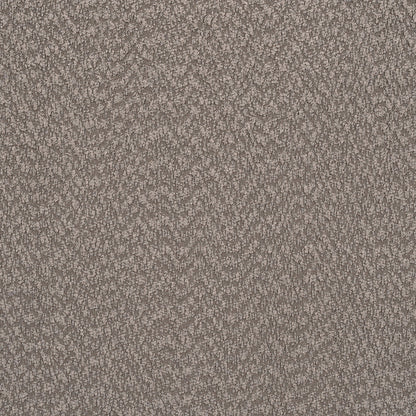 22972377