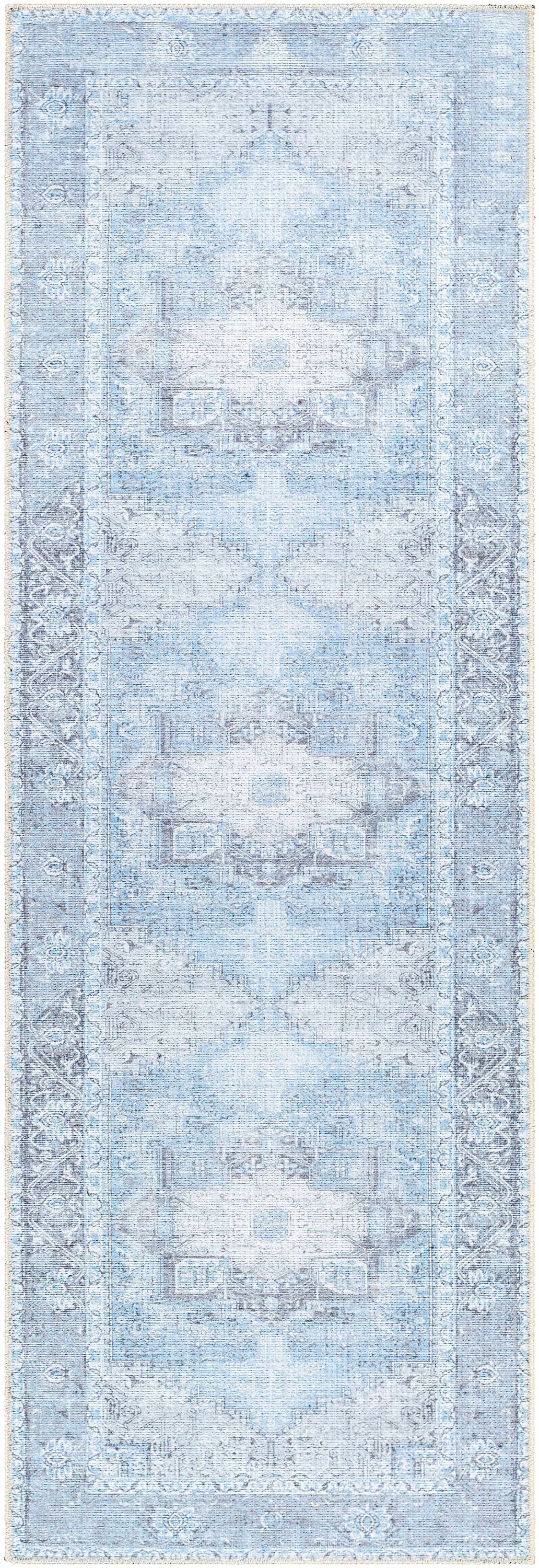 Aqua Rosman Washable Area Rug