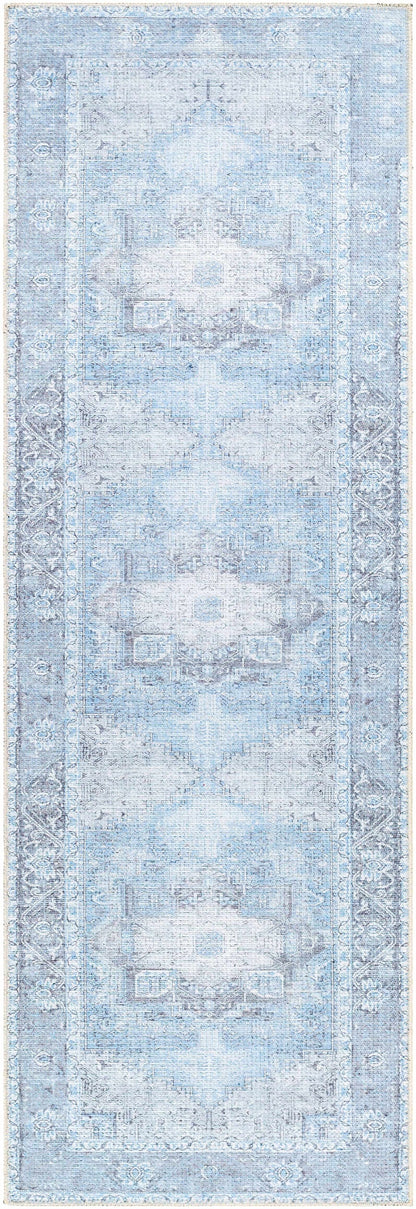 Aqua Rosman Washable Area Rug