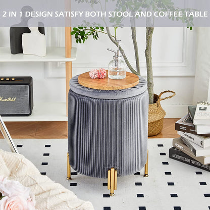 Grey Velvet Ottoman with 23Qt Storage and Support