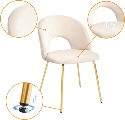 Velvet Seat Chair with Metal Legs for Kitchen Dining Room, Pack of 2.