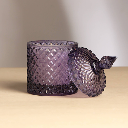 Plush Radiance Scented Wax Candle