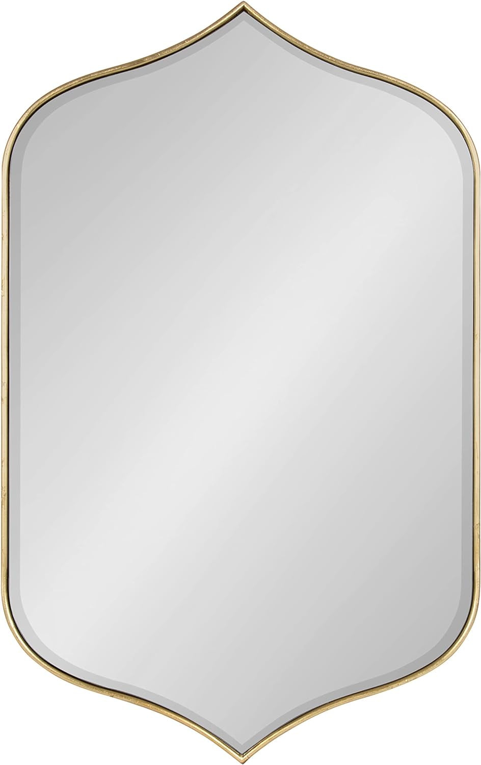 Contemporary Tyla Wall Mirror, 20 X 32, Gold Finish, Decorative