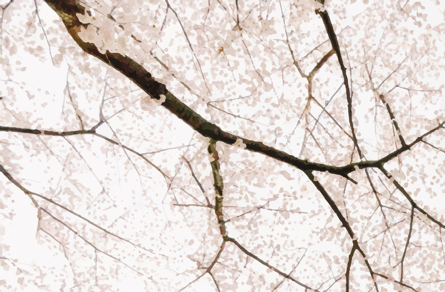 Cherry blossom mural