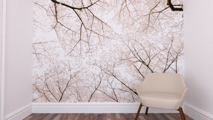 Cherry blossom mural