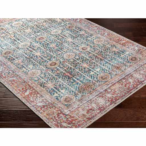 Rust Catadupa Distressed Washable Area Rug - Clearance