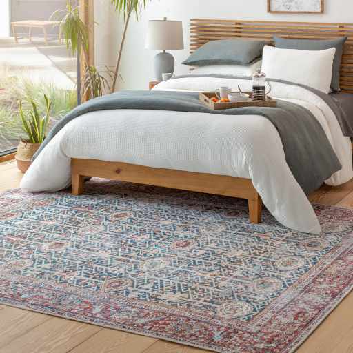 Rust Catadupa Distressed Washable Area Rug - Clearance