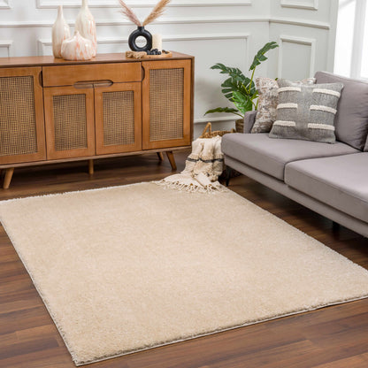 Heavenly Solid Dark Beige Plush Rug - Clearance